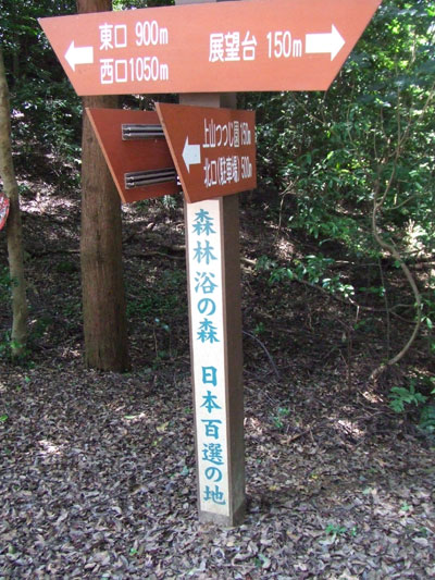 kinoko6.jpg