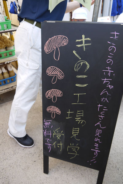maturi6.jpg
