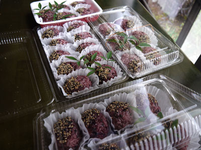 ohagi.jpg