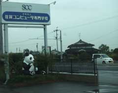 panda.jpg